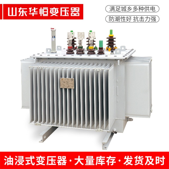 S13-10000/35清新清新清新电力变压器